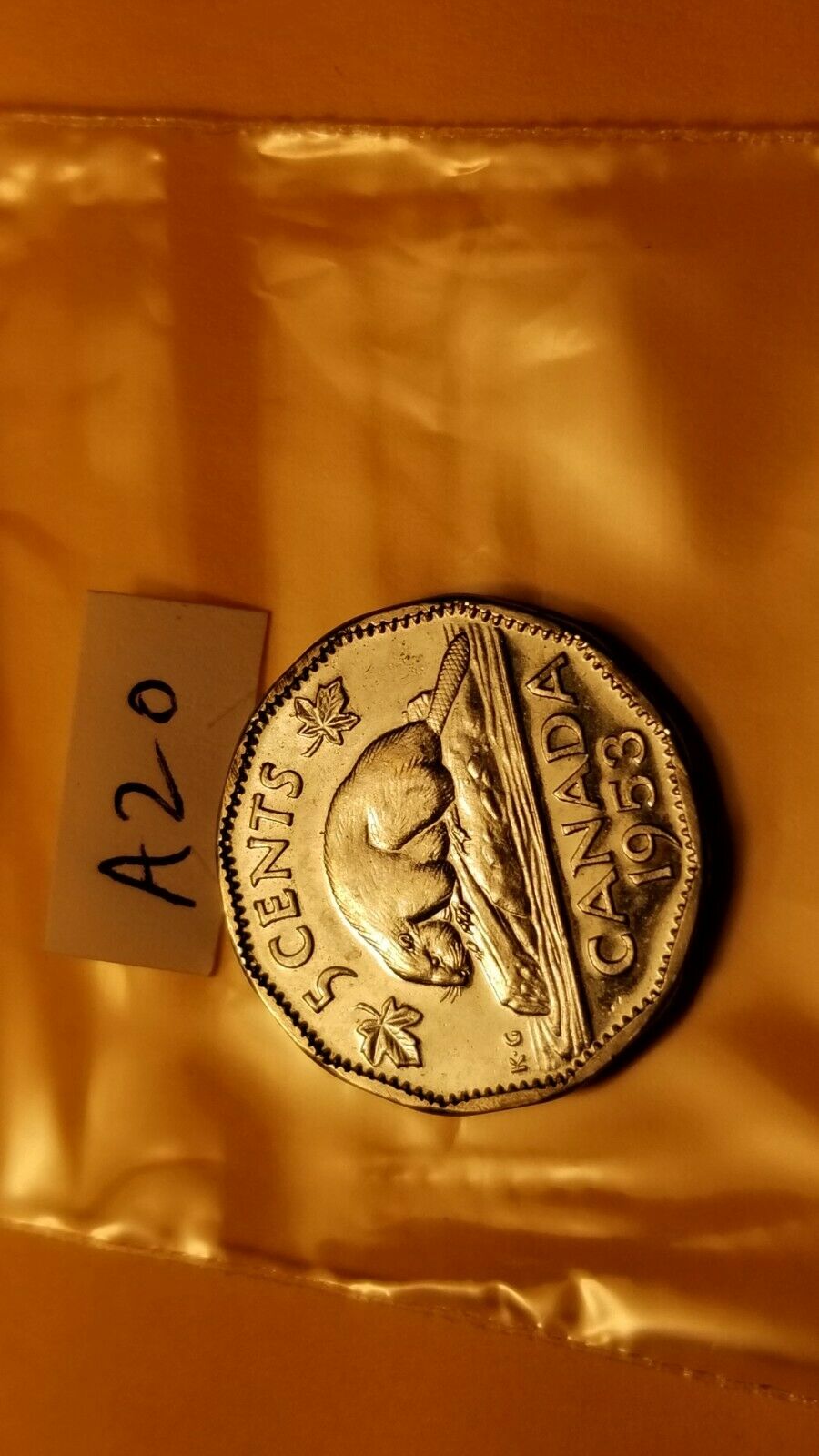 Please-Grade-This-1953-5-Cent-Piece